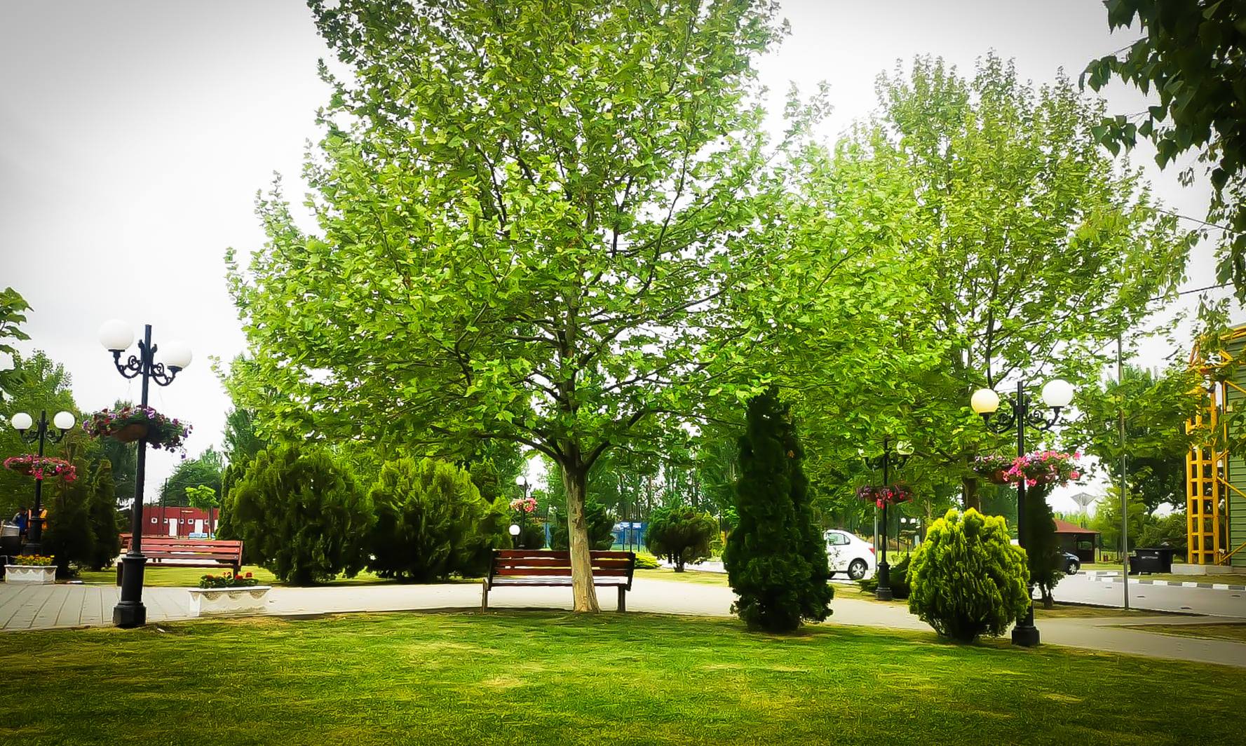 images-3