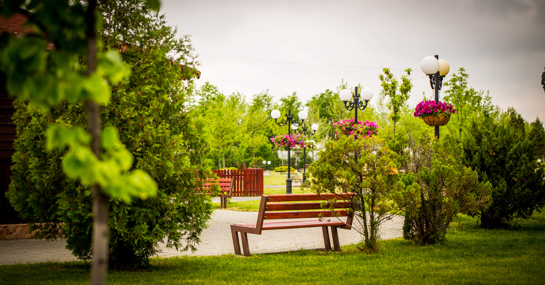 images-3