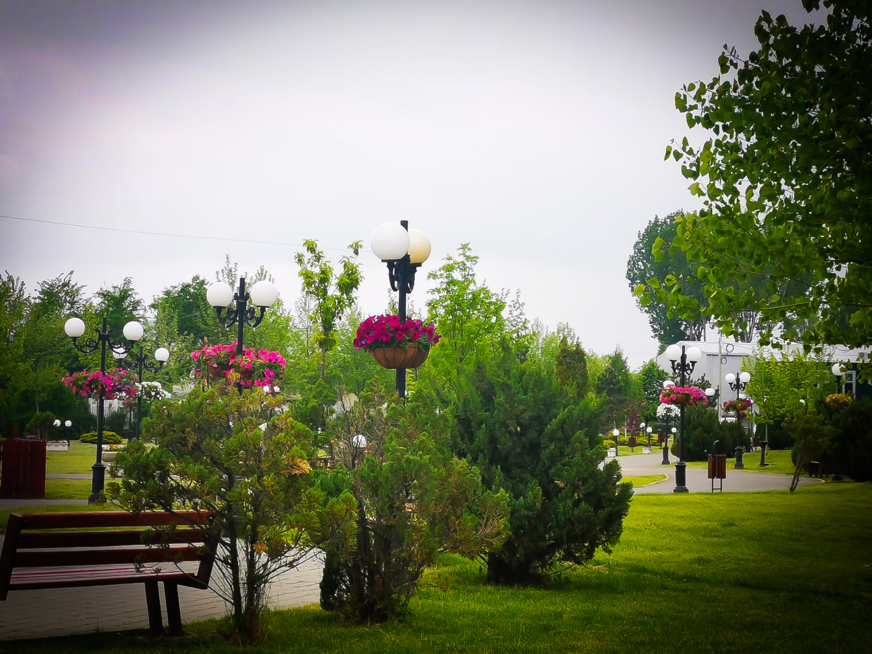 images-3