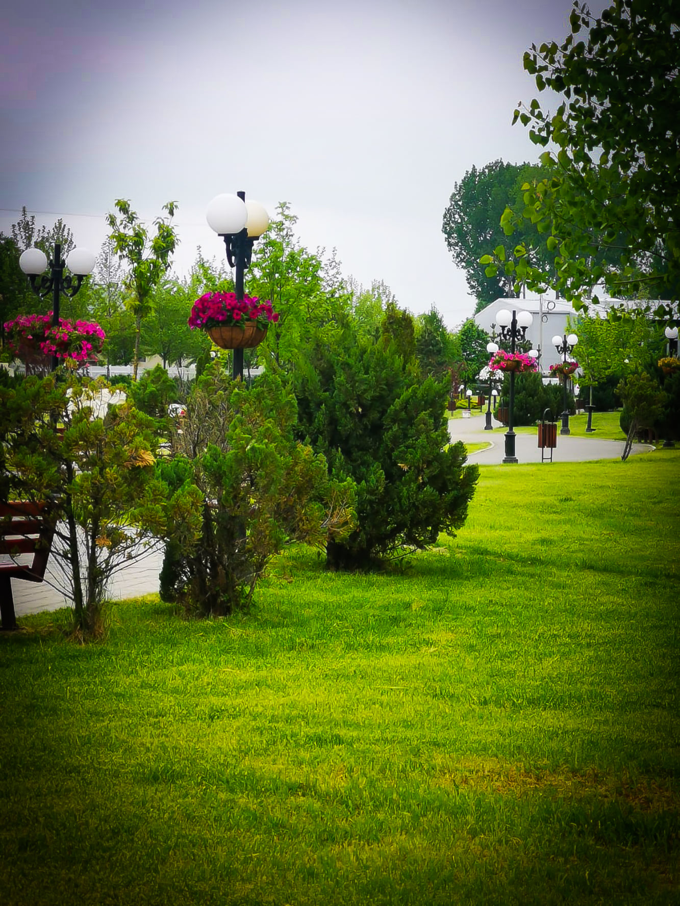 images-3