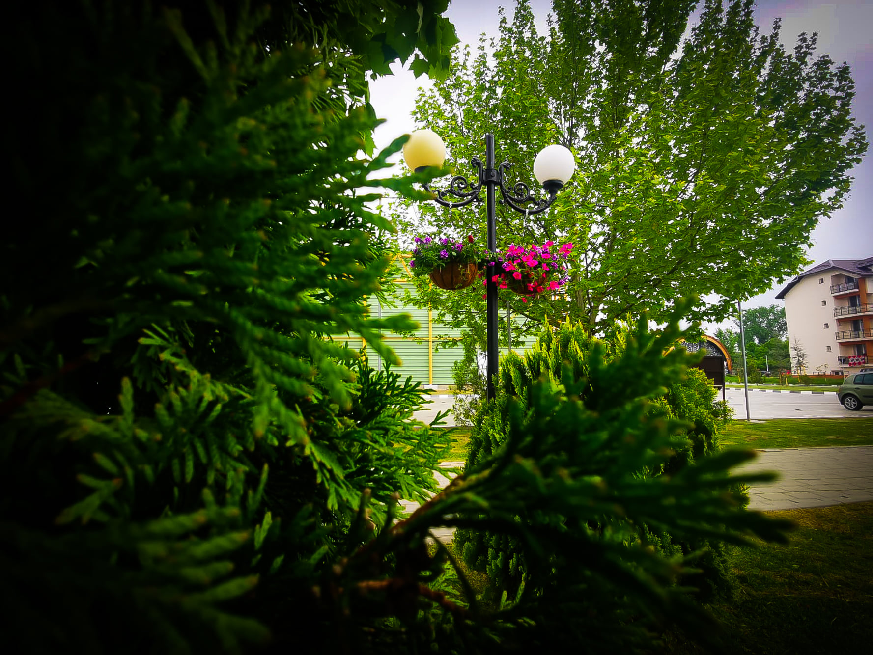 images-3